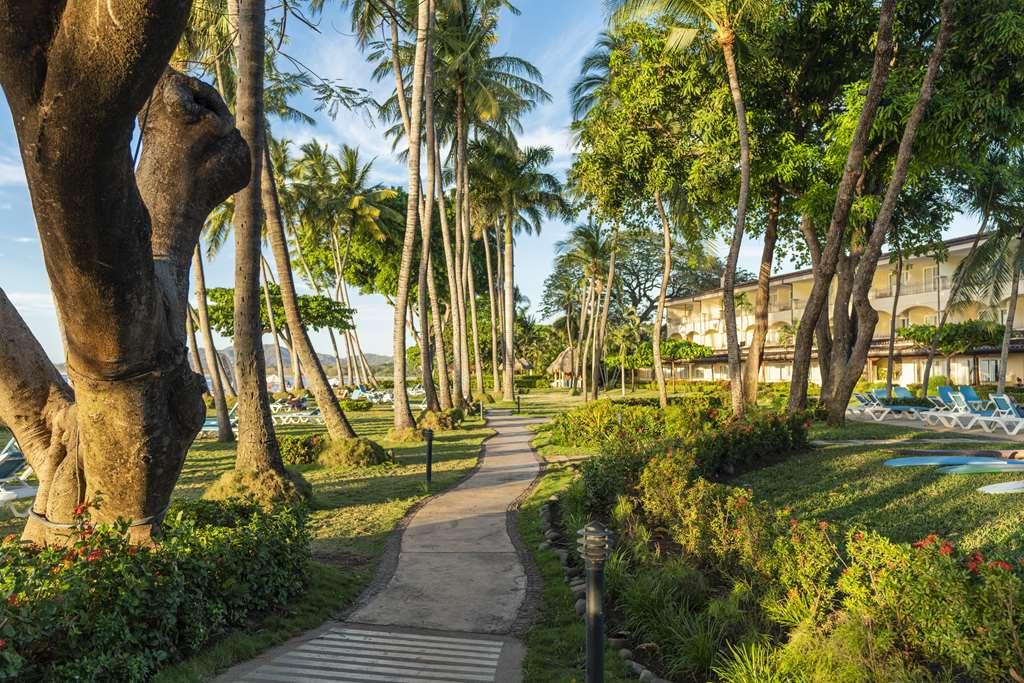 Hotel Tamarindo Diria Beach Resort Tiện nghi bức ảnh